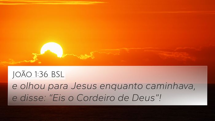 João 1:36 BSL Bible Verse Image