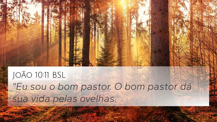 João 10:11 BSL Bible Verse Image