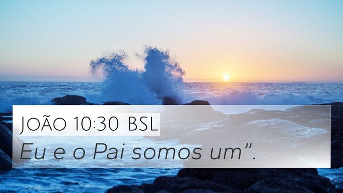 João 10:30 BSL Bible Verse Image