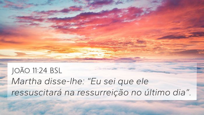 João 11:24 BSL Bible Verse Image