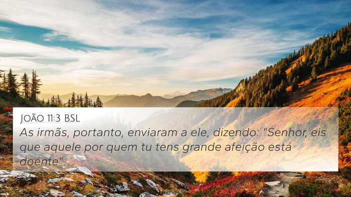 João 11:3 BSL Bible Verse Image