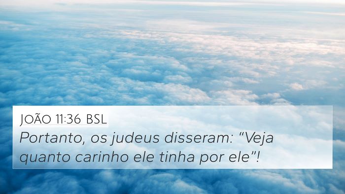 João 11:36 BSL 4K Wallpaper - Portanto, os judeus disseram: “Veja quanto - 4K Wallpaper Bible Verse