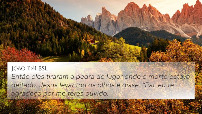 João 11:41 BSL Bible Verse Image
