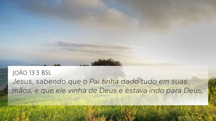 João 13:3 BSL Bible Verse Image
