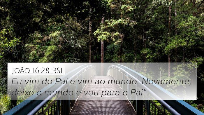 João 16:28 BSL Bible Verse Image