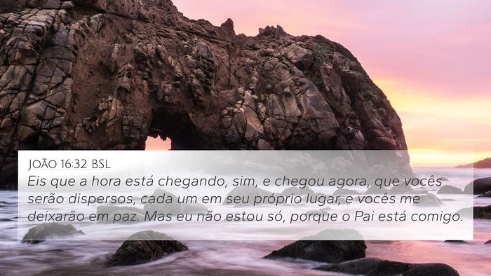 João 16:32 BSL Bible Verse Image