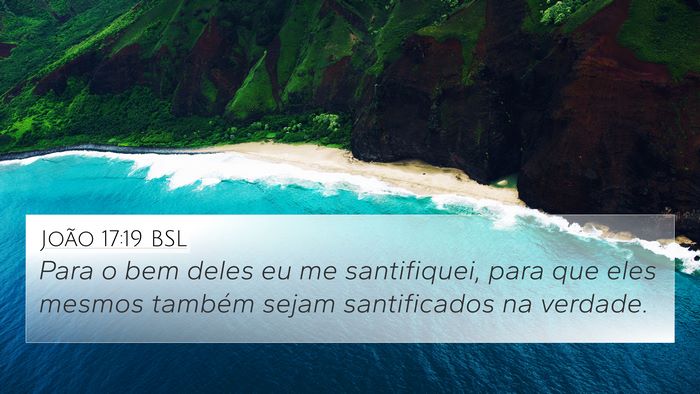 João 17:19 BSL Bible Verse Image