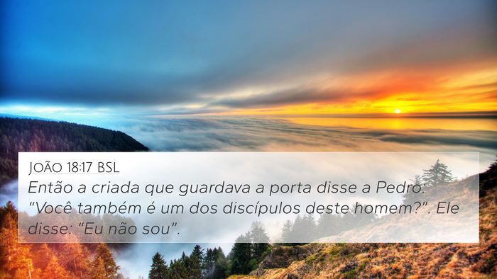 João 18:17 BSL Bible Verse Image