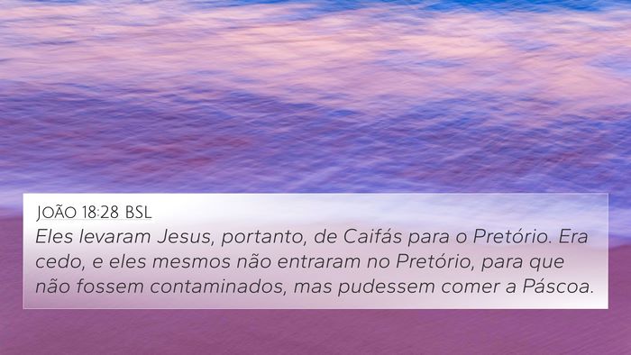 João 18:28 BSL Bible Verse Image
