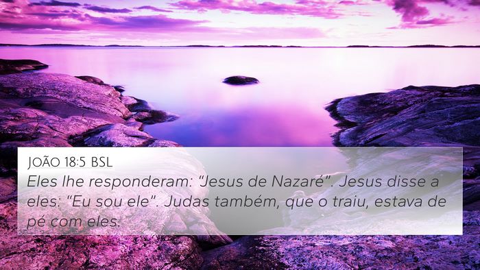 João 18:5 BSL Bible Verse Image