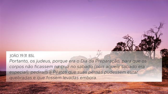 João 19:31 BSL Bible Verse Image