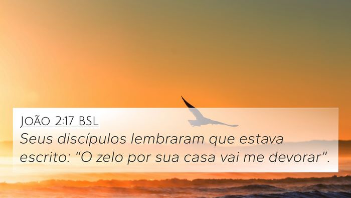 João 2:17 BSL Bible Verse Image