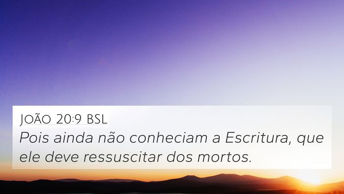 João 20:9 BSL Bible Verse Image