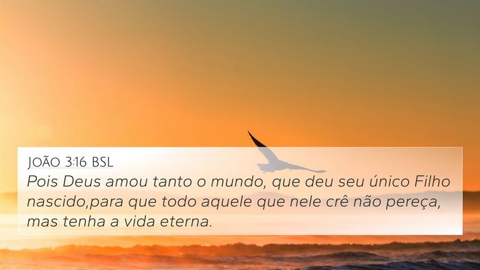 João 3:16 BSL Bible Verse Image
