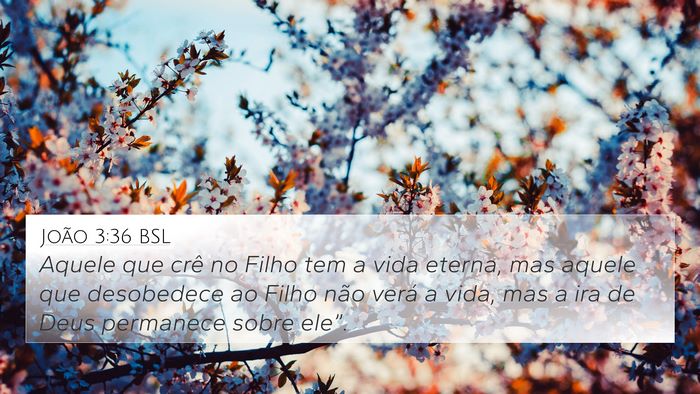 João 3:36 BSL Bible Verse Image
