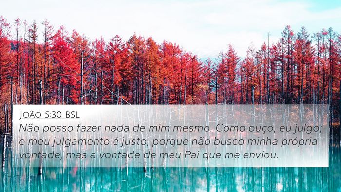 João 5:30 BSL Bible Verse Image