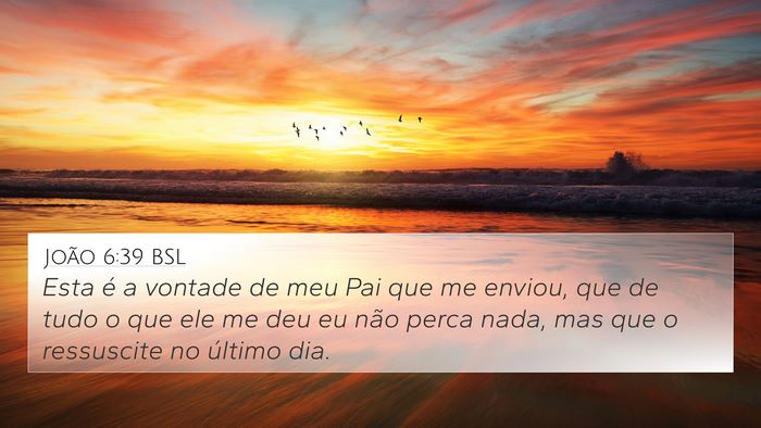 João 6:39 BSL Bible Verse Image