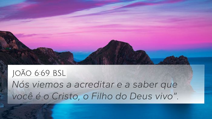 João 6:69 BSL Bible Verse Image