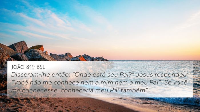 João 8:19 BSL Bible Verse Image