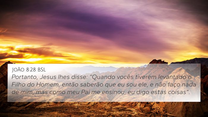 João 8:28 BSL Bible Verse Image