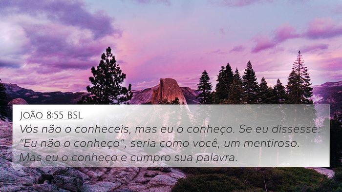 João 8:55 BSL Bible Verse Image