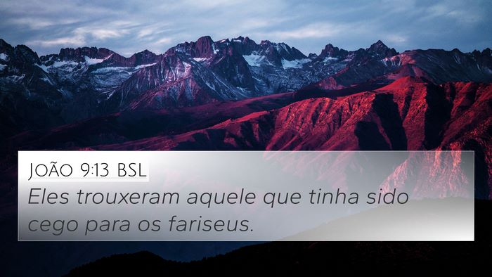 João 9:13 BSL Bible Verse Image