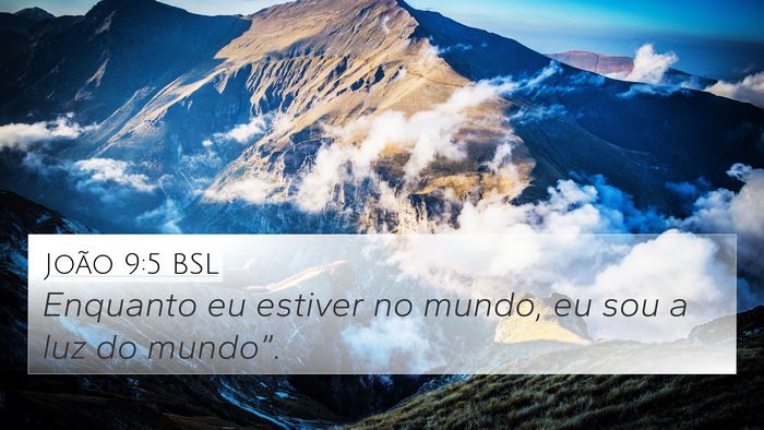 João 9:5 BSL Bible Verse Image