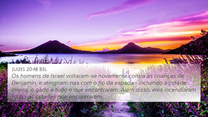 Juízes 20:48 BSL Bible Verse Image