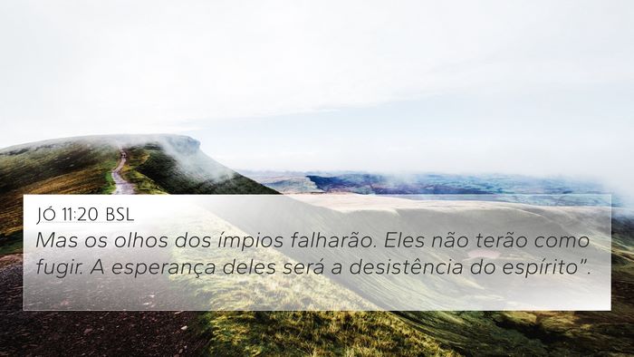 Jó 11:20 BSL Bible Verse Image