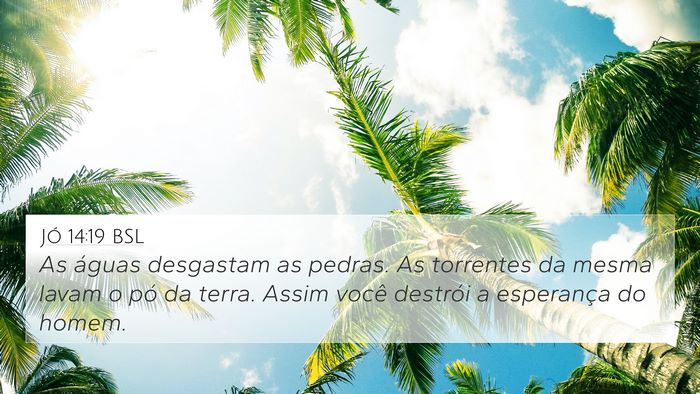 Jó 14:19 BSL Bible Verse Image