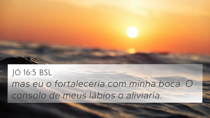 Jó 16:5 BSL 4K Wallpaper - mas eu o fortaleceria com minha boca. O consolo - 4K Wallpaper Bible Verse