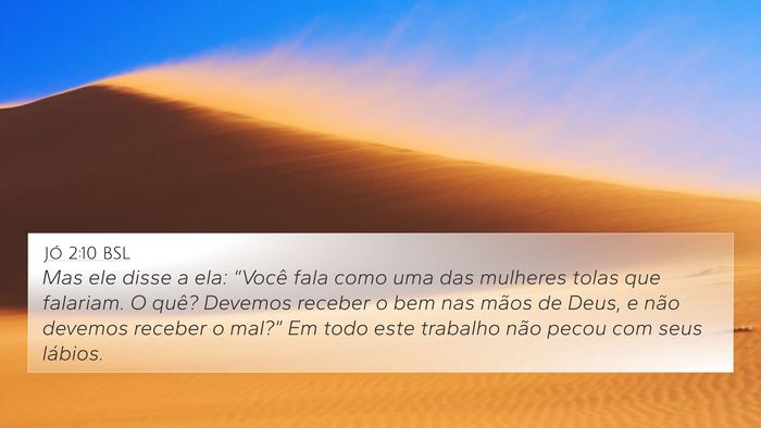 Jó 2:10 BSL Bible Verse Image