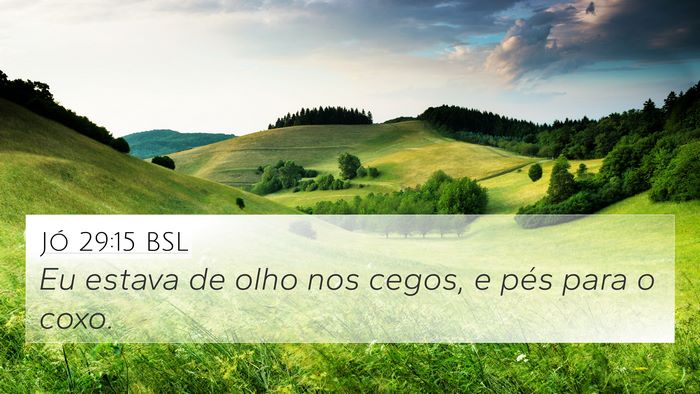 Jó 29:15 BSL Bible Verse Image