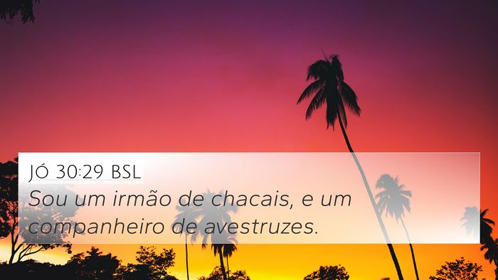 Jó 30:29 BSL Bible Verse Image