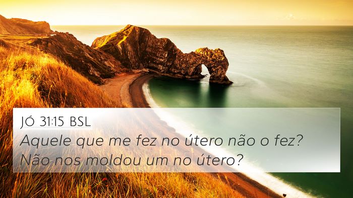 Jó 31:15 BSL Bible Verse Image