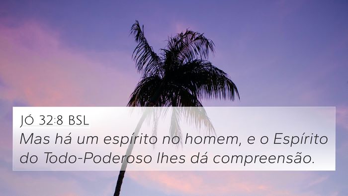Jó 32:8 BSL Bible Verse Image