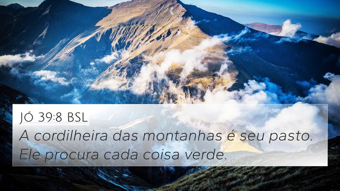 Jó 39:8 BSL Bible Verse Image