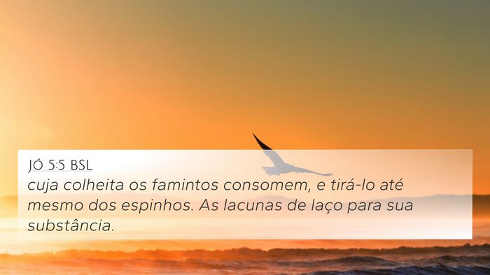 Jó 5:5 BSL Bible Verse Image