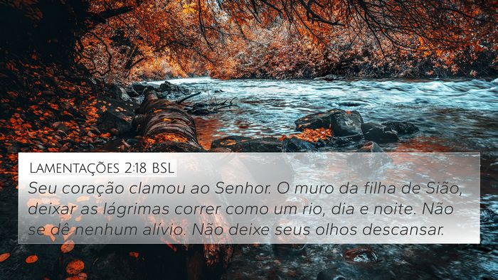 Lamentações 2:18 BSL Bible Verse Image