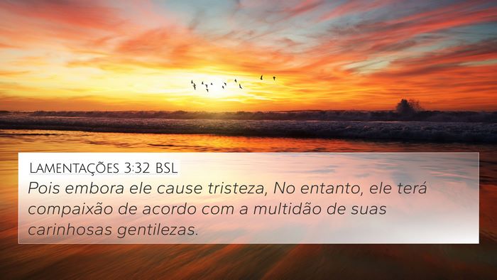 Lamentações 3:32 BSL Bible Verse Image