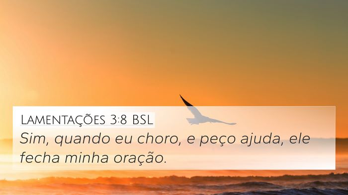 Lamentações 3:8 BSL Bible Verse Image