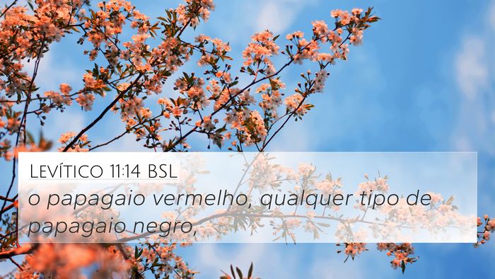 Levítico 11:14 BSL 4K Wallpaper - o papagaio vermelho, qualquer tipo de papagaio - 4K Wallpaper Bible Verse