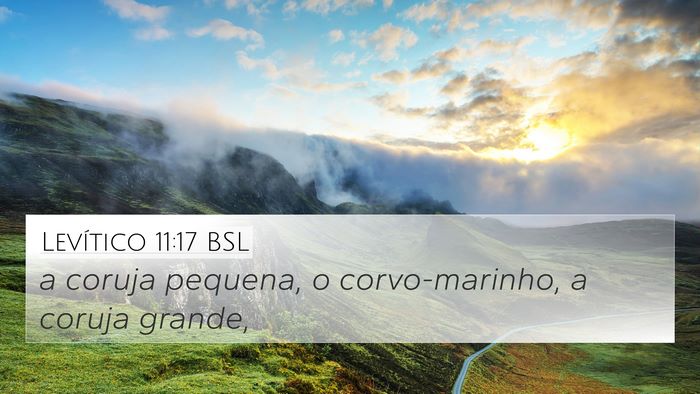 Levítico 11:17 BSL 4K Wallpaper - a coruja pequena, o corvo-marinho, a coruja - 4K Wallpaper Bible Verse