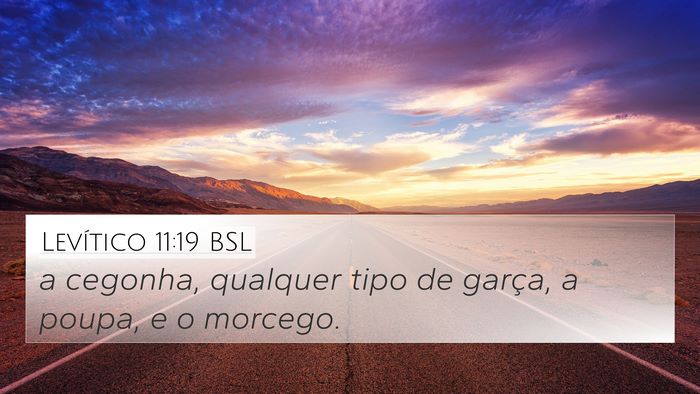 Levítico 11:19 BSL Bible Verse Image