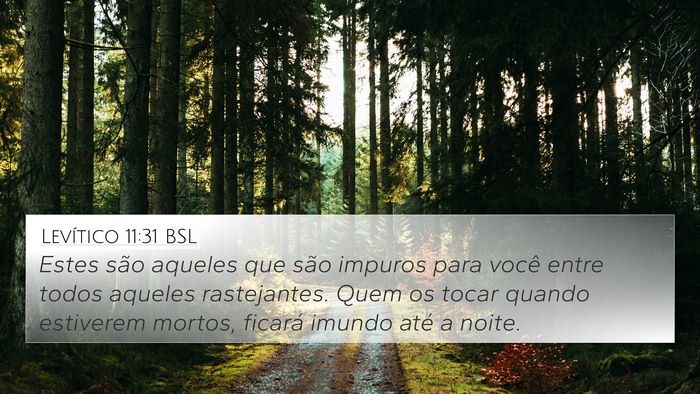 Levítico 11:31 BSL Bible Verse Image