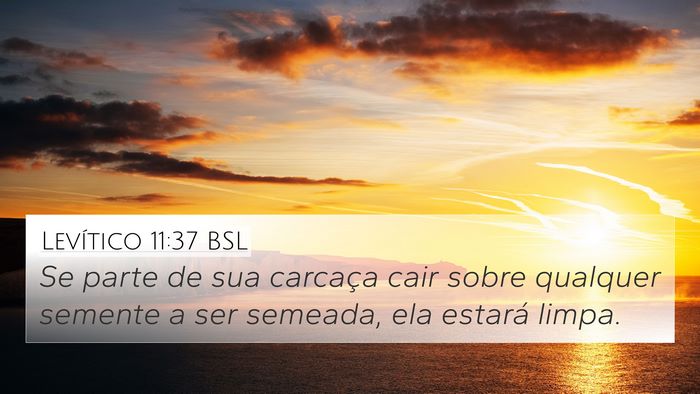 Levítico 11:37 BSL 4K Wallpaper - Se parte de sua carcaça cair sobre qualquer - 4K Wallpaper Bible Verse