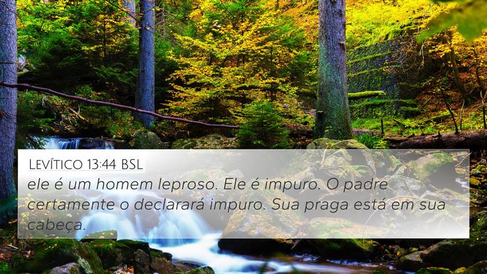 Levítico 13:44 BSL Bible Verse Image