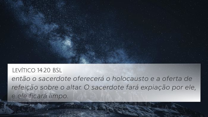 Levítico 14:20 BSL Bible Verse Image