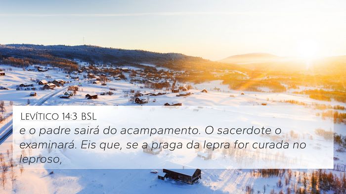Levítico 14:3 BSL Bible Verse Image