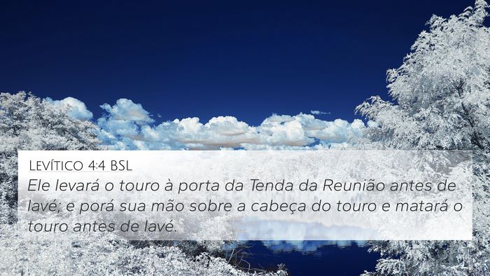Levítico 4:4 BSL 4K Wallpaper - Ele levará o touro à porta da Tenda da Reunião - 4K Wallpaper Bible Verse